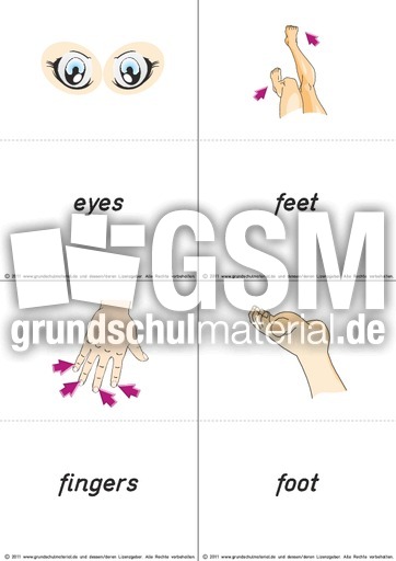 flashcards body_e-f.pdf